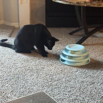 Guest review image 1 of 2, zoom in