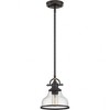 Quoizel Lighting Grant 1 - Light Pendant in  Palladian Bronze - 2 of 4