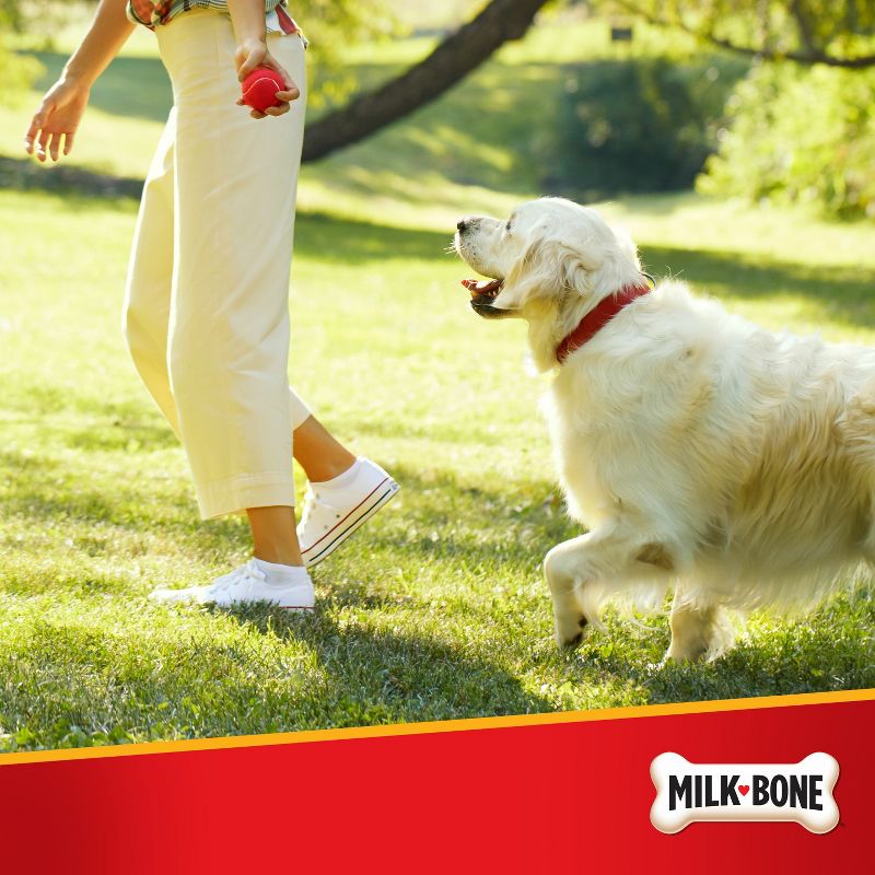 Milk-Bone Chewy Dog Treats Bone Pill Pouches Chicken Flavor 6oz, 6 of 7