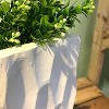 27.6" Square Concrete/Fiberglass Elegant Retro Indoor/Outdoor Planter Pure White - Rosemead Home & Garden, Inc.: UV & Weather-Resistant - 3 of 4