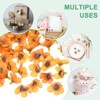Unique Bargains Silk Decor DIY Wedding Mini Bulk Artificial Daisy Flowers Heads - 4 of 4
