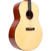 Gold Tone TG-10 Tenor Acoustic Guitar Natural - 3 of 4