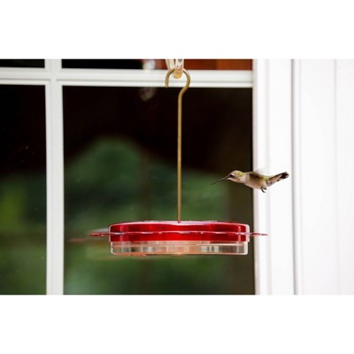 Birds Choice 12oz Hummerfest Hummingbird Feeder