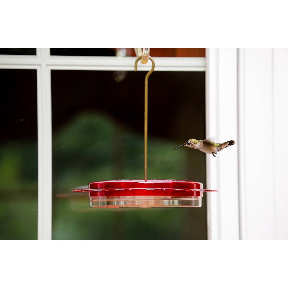Birds Choice 12oz Hummerfest Hummingbird Feeder: Weather-Resistant, Bee Proof Ports, Brass Hanger