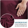 J&V TEXTILES Rich Floral Pattern Velvet Stretch Chair Cover Chair Slipcover Sofa Cover Furniture Protector Couch Soft with Elastic Bottom - 2 of 3