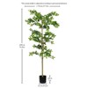 Maggift Artificial Plant Tung Tree Ground Flower Decoration Artificial Green Plant Wholesale Manufacturers 1Set , Green, 8.2"*27.5"*70.8" - 3 of 4