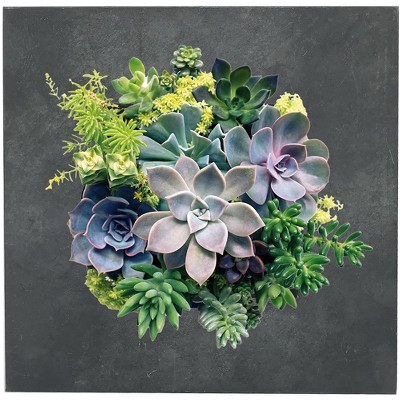 Black Zinc 4-Pocket Galvanized Steel Living Wall Planter