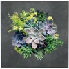Modern Home Living Wall Galvanized Steel/Zinc Succulent Planter - 3 of 4