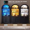 Vlsrka Arched Cabinet, Kitchen Pantry & China Cabinet, Arched Bookshelf with Open & Adjustable Shelves, Induction 3-Color Lights,Black - 4 of 4