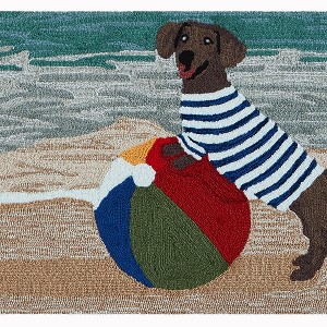 Liora Manne Frontporch Pet Indoor/Outdoor Rug.. - 1 of 4
