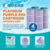 Hurricane Filters 8 Pack HF56SV-04 Platinum Purple Pool Filter Cartridge Replacement for PA56L, Hayward SwimClearC2030, CX481X RE PAK4 - 2 of 4