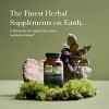 Gaia Herbs Thyroid Support - Made with Ashwagandha, Kelp, Brown Seaweed, and Schisandra - 3 of 4