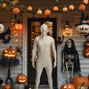 Silver Adult Costume Morphsuit - 4 of 4
