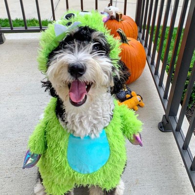 Halloween Dog And Cat Basketball Jersey - Hyde & Eek! Boutique™ : Target