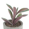 Unique Bargains Artificial Plants Plastic Pink 2.44"x2.44"x3.35" 1 Pcs - 4 of 4