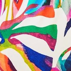 rainbow palms