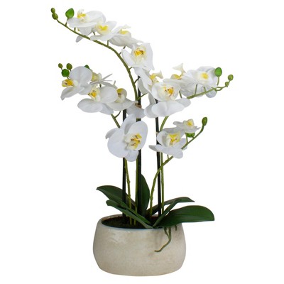 Northlight 22" Artificial White and Yellow Orchid Plant With a White Oval Pot Tabletop Decor