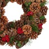 Northlight Frosted Pinecone and Red Berry Artificial Christmas Wreath - 13" - Unlit - 4 of 4