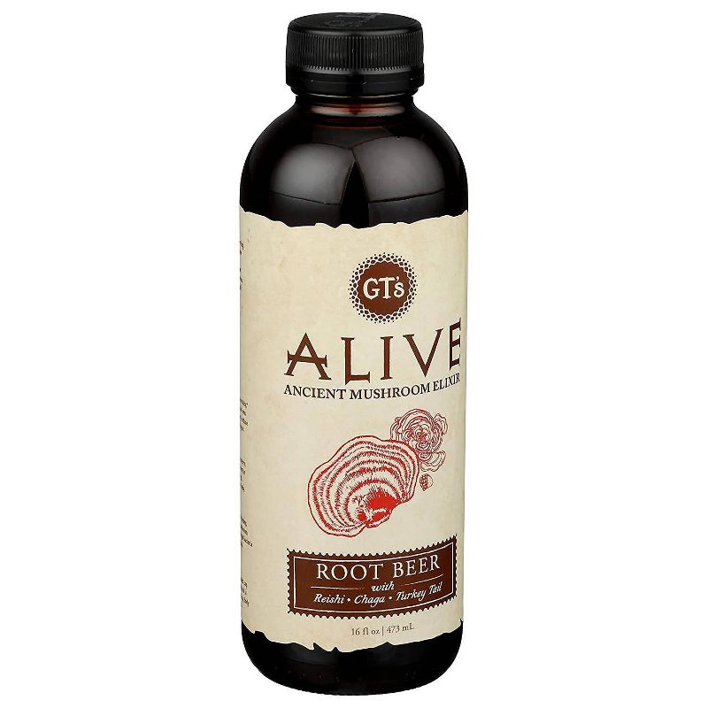 GT&#39;s Alive Root Beer Ancient Mushroom Elixir - 16 fl oz, 4 of 6