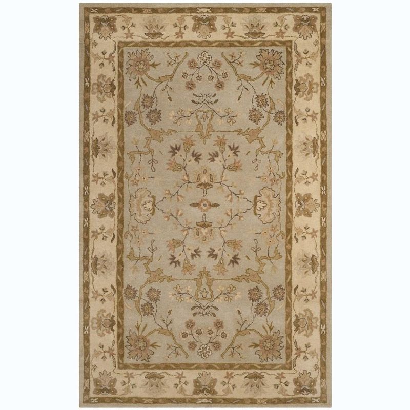 Antiquity AT62 Hand Tufted Area Rug  - Safavieh, 1 of 6