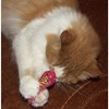 Yeowww! 100% Organic Catnip Stinkies Sardines, Variety Pack of 6 Total - 2 of 4