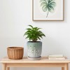 Wooakway 7" Dia Outdoor Indoor Ceramic Planter Pot Decorative Planter with Drainage Hole Patio Flower Pot - 2 of 4