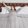 Inhand Weighted Blanket (Queen 60"x80") - Cooling Heavy Blanket with Glass Beads - All-Season Breathable Soft Comfort Microfiber Blanket - 2 of 4