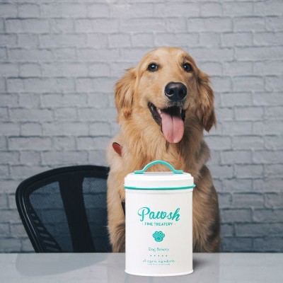 White and Mint Metal Pet Treat Storage Canister, 44 oz.