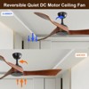 Wanze of Ocean 52 in. Smart Black Indoor Solid Wood Brown Blade Downrod Mount Ceiling Fan with 3-Size Downrods and Remote - 3 of 4