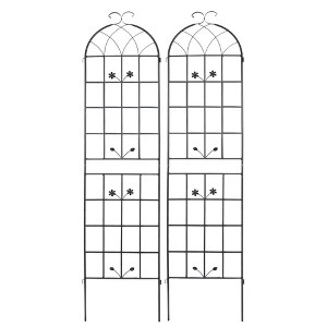 NAYSAYE Planter Set of 2 Metal Garden Trellis Heavy Duty Build Easy Assembly for Indoor and Outdoor Garden, Black, 40.94"*20"*71" - 1 of 4