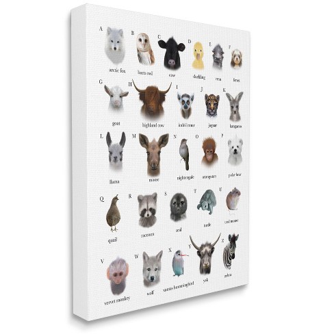 Stupell Industries Alphabet Chart Of Wild Animals Over White Gallery  Wrapped Canvas Wall Art, 24 X 30 : Target