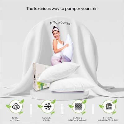 Blush Cotton Percale Standard Pillowcases, 400 Thread Count