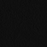 florida a&m rattlers