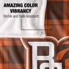 Bowling Green State University Campus Plaid Spirit Silky Touch Super Soft Throw Blanket 50x60 - 4 of 4
