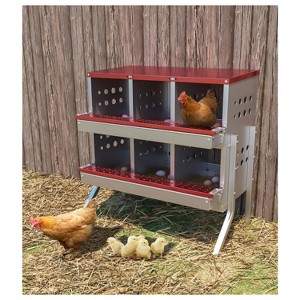GustoWave  6-Compartment Chicken Nest Box  Hens Laying Nest with Metal Legs and 8 Fake Training Eggs - 1 of 4