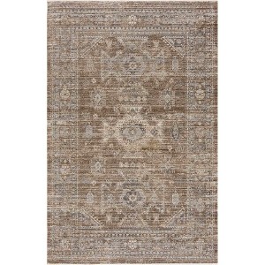 Hauteloom Yamir Living Room, Bedroom Machine Washable Patio Outdoor Area Rug - Traditional - 1 of 4
