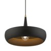 Livex Lighting Banbury 1 - Light Pendant in  Black/Antique Brass - 4 of 4