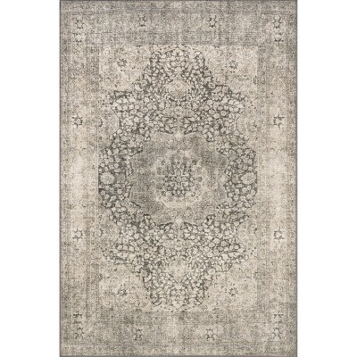 Nuloom Hillstone Collection Agnetha Traditional Vintage Medallion Area Rug
