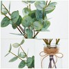 13" Artificial Eucalyptus Stems in Vase (2Pack), Faux Eucalyptus with Double-Sided Magenta Leaves, Realistic Fake Greenery with Hemp Rope & Faux Water - 4 of 4
