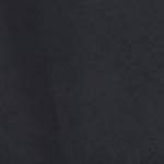 black stripe