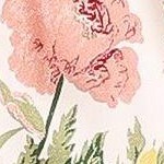 white floral