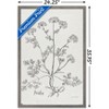 Trends International Jean Plout - Botanical Studies on Paper Parsley Framed Wall Poster Prints - 3 of 4
