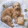 Honey Pot Burrow Dog Puzzle Toy – Rover Store