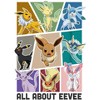 Boy's Pokemon All About Eevee Eeveeloution T-Shirt - image 2 of 4