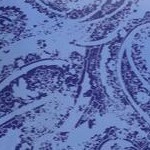 french blue paisley