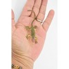 Collectible Wildlife Gifts | Lizard, Brown Lizard Red Spot on Head, Rubber Reptile Toy, Realistic Figure, Model, Gift,      3"      F6070 B380 - 2 of 4