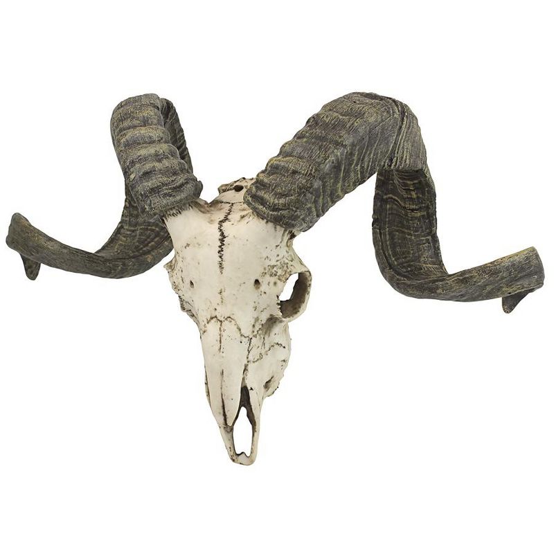 Design Toscano Corsican Ram Skull and Horns Wall Trophy, 2 of 8