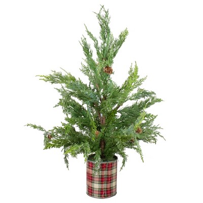 Northlight 24" Iced Cedar Artificial Christmas Tree in Plaid Pot - Unlit