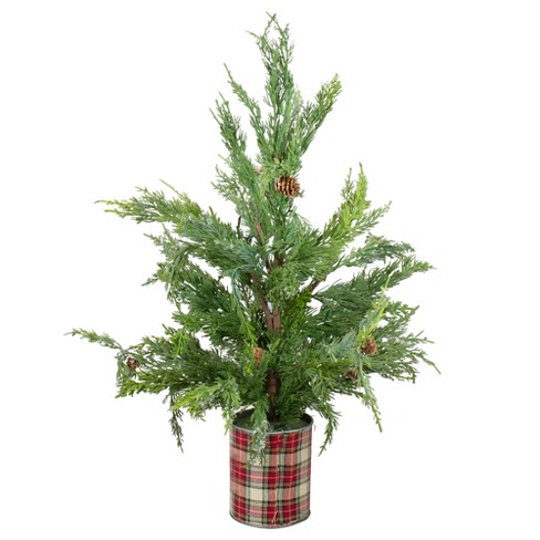 Northlight Real Touch™️ Potted Iced Cedar Artificial Christmas Tree - 24" - Unlit - image 1 of 4