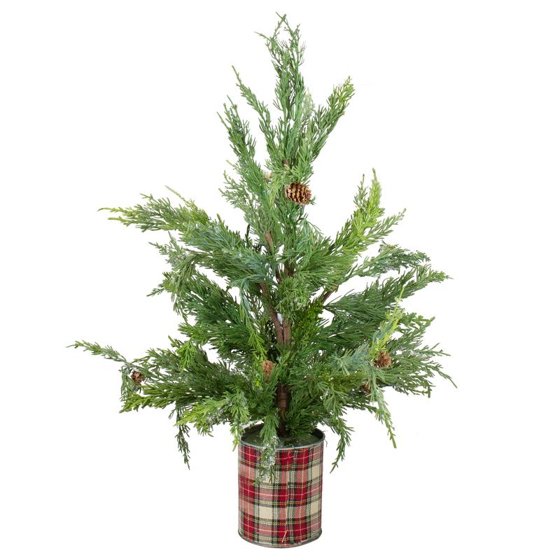 Northlight Real Touch™️ Potted Iced Cedar Artificial Christmas Tree - 24" - Unlit, 1 of 6